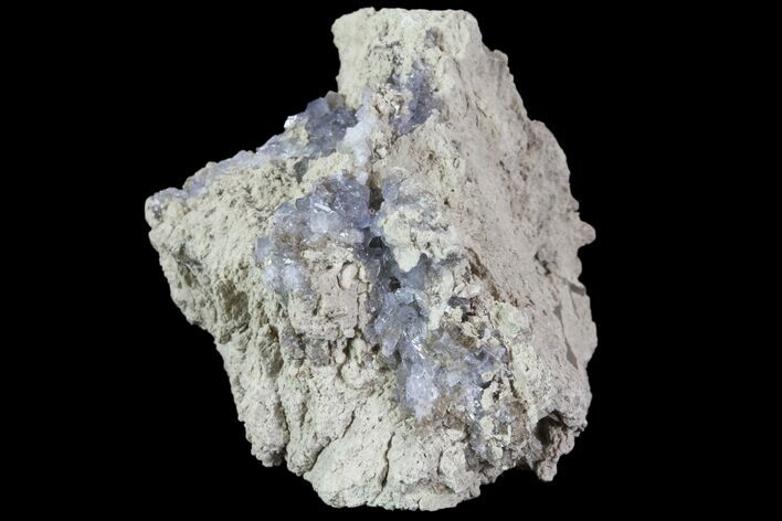 Purple/Gray Fluorite Cluster - Marblehead Quarry Ohio #81189